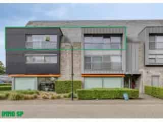 Penthouse te koop - Geel RBU02714