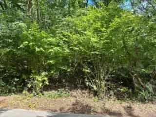 Bouwgrond te koop - Villers-la-Ville VBD22227