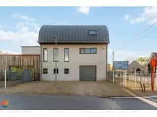 Handelspand te koop - Rotselaar RBU24570