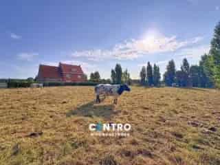 Fermette te koop - Zedelgem RBU24004