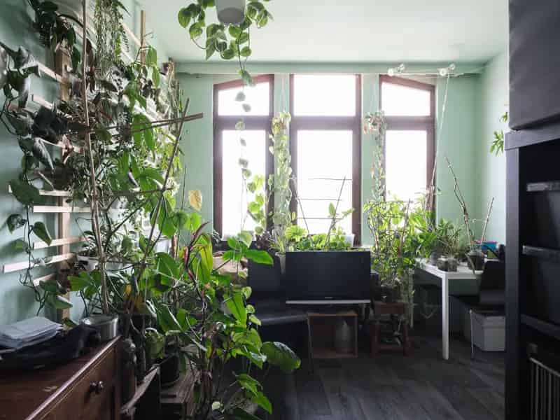 Appartement te koop in Sint-Amandsberg